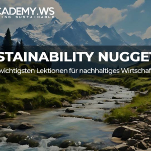 SUSTAINABILITY NUGGETS 2025